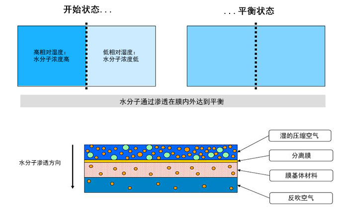膜干燥器工作原理