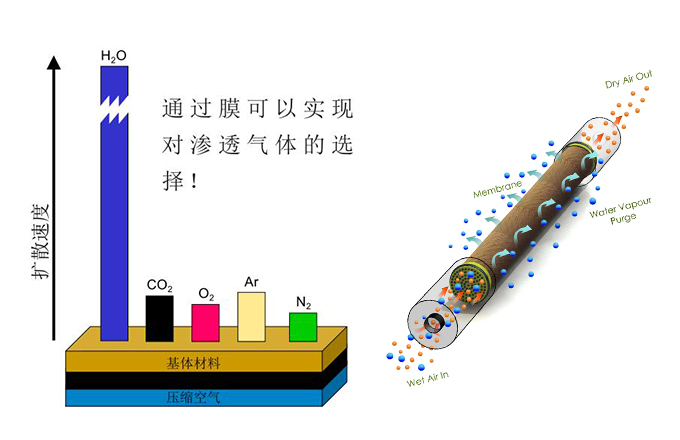 膜干燥器工作原理