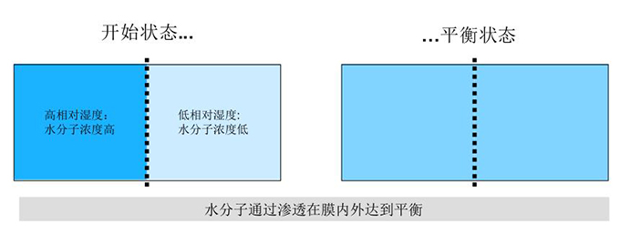 膜干燥器工作原理 膜干燥器工作原理